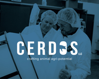 Cerdos branding 02