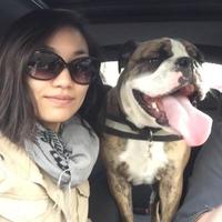 Angelina Cho Profile photo of Angelina Cho
