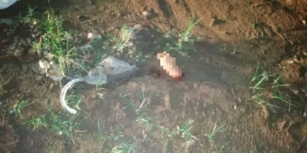Asesinan a mujer