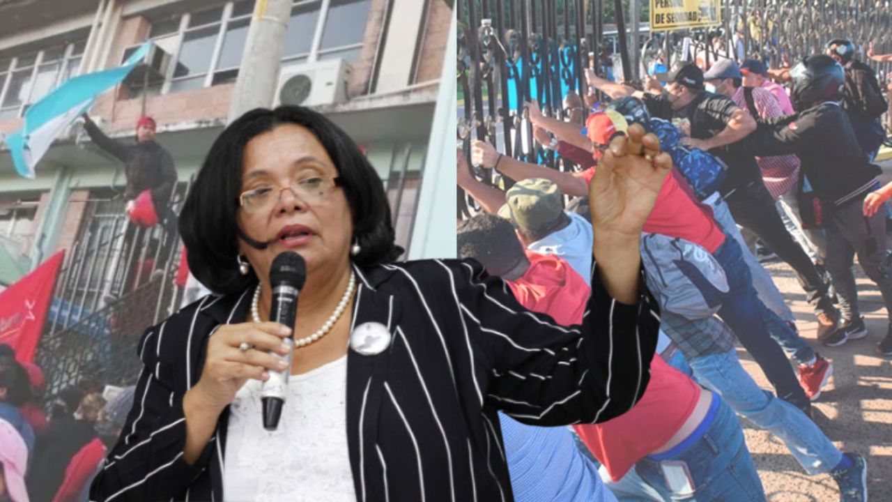 'Vamos a un debilitamiento de la institucionalidad' Julieta