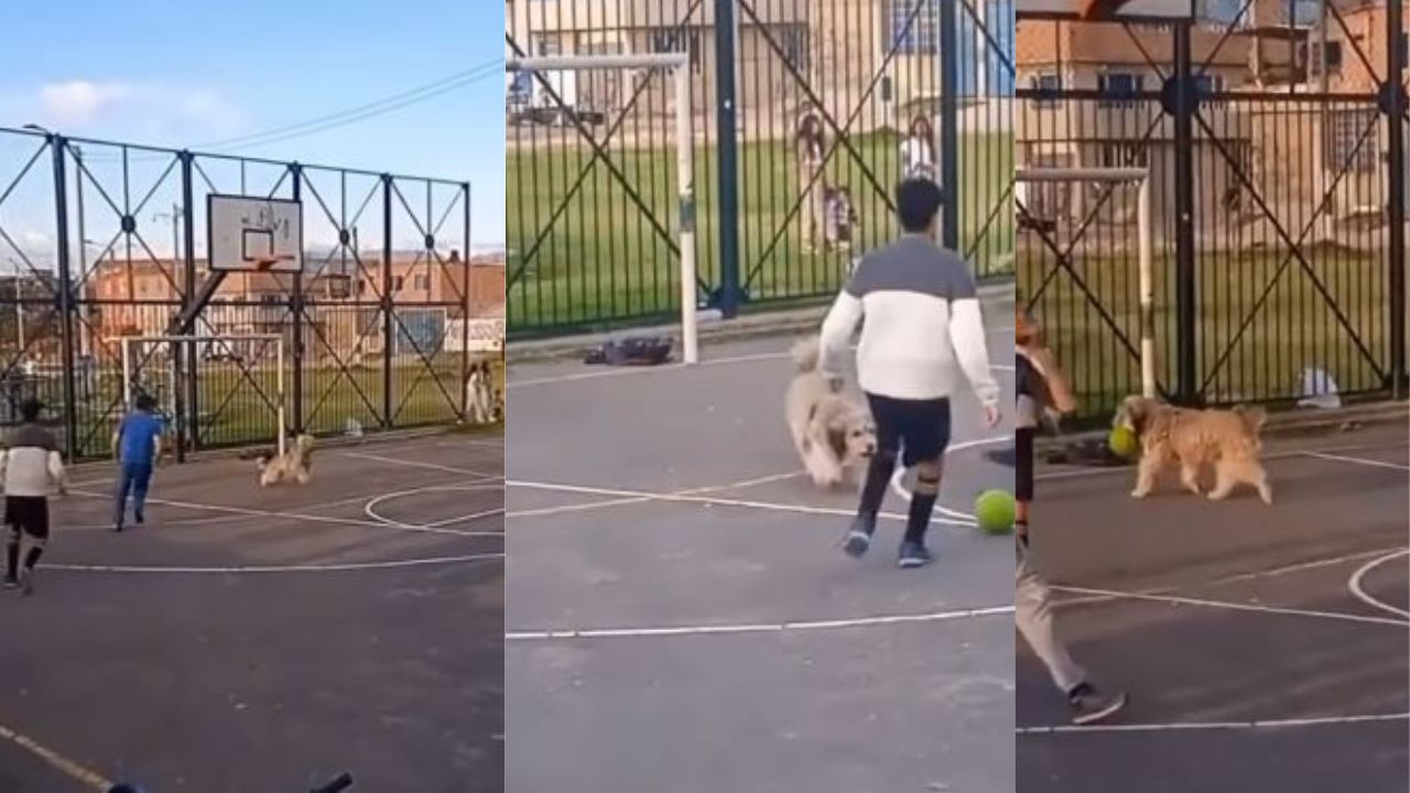 imagen de ‘Porterazo’, faltaba un ju