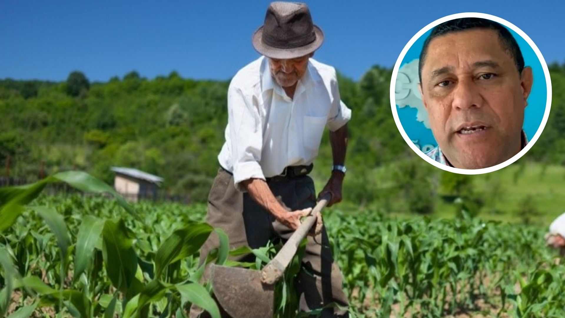 crisis-en-el-sector-agropecuario-de-honduras-financieramente-estancado