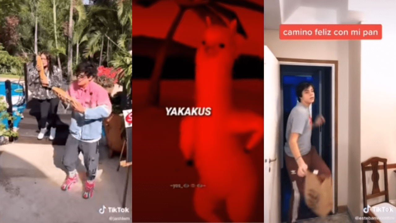 “Mi pan su su su” la canción que está conquistando en TikTok