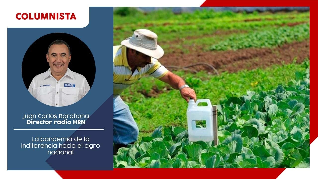 En tiempos en los que la pandemia ha golpeado severamente el aparato económico y productivo, ¿ya constataron las autoridades nacionales las vicisitudes que está pasando el sector que los últimos años ha estado liderando las exportaciones agropecuarias?