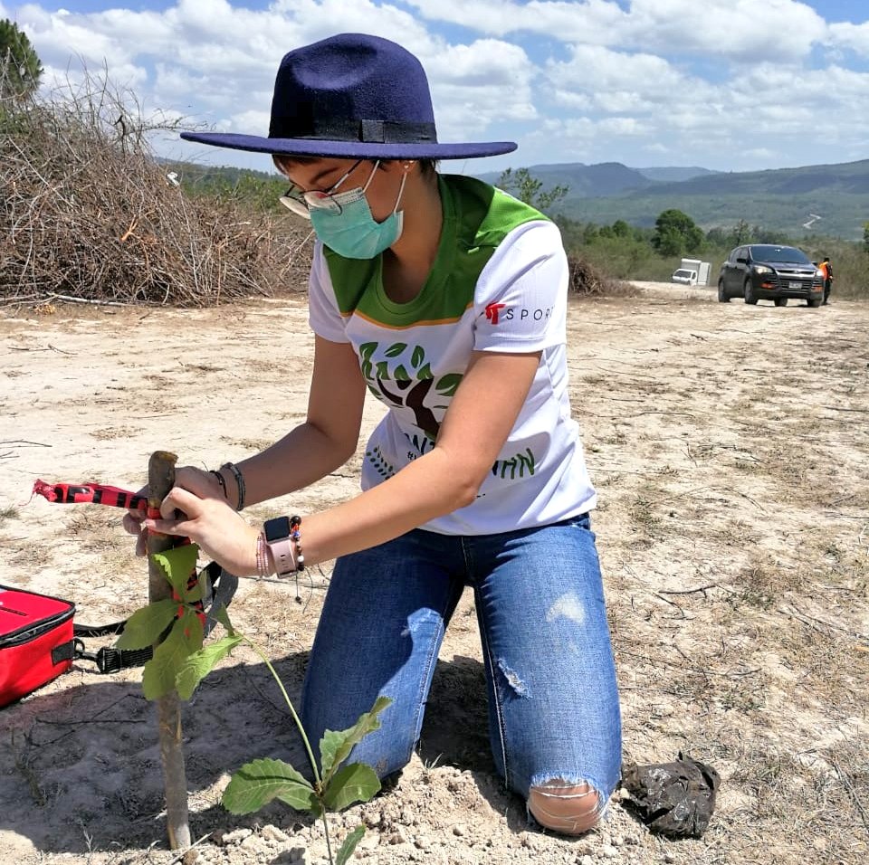 Plantatonhn