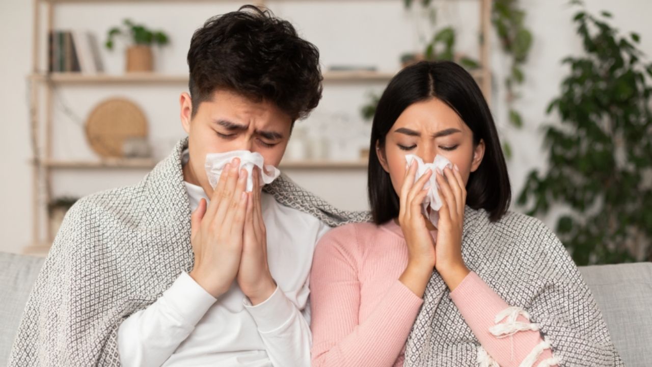 ¿Alergias constantes? Conozca la diferencia entre