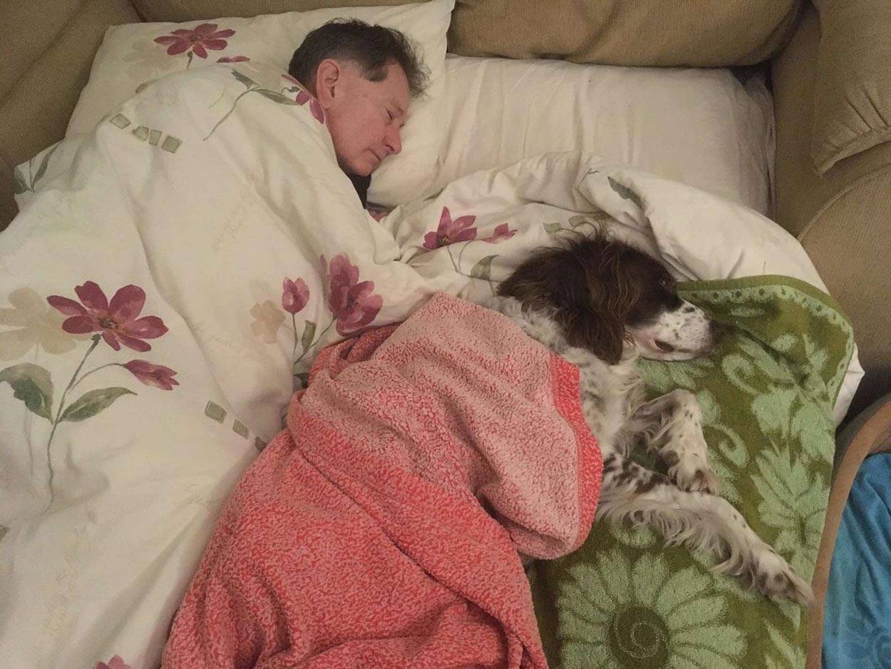 Hombre duerme en el sofá para a su perro anciano que ya no