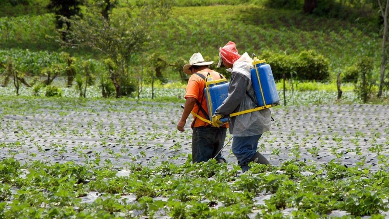 Desgravación arancelaria es nefasta para la producción 'urge