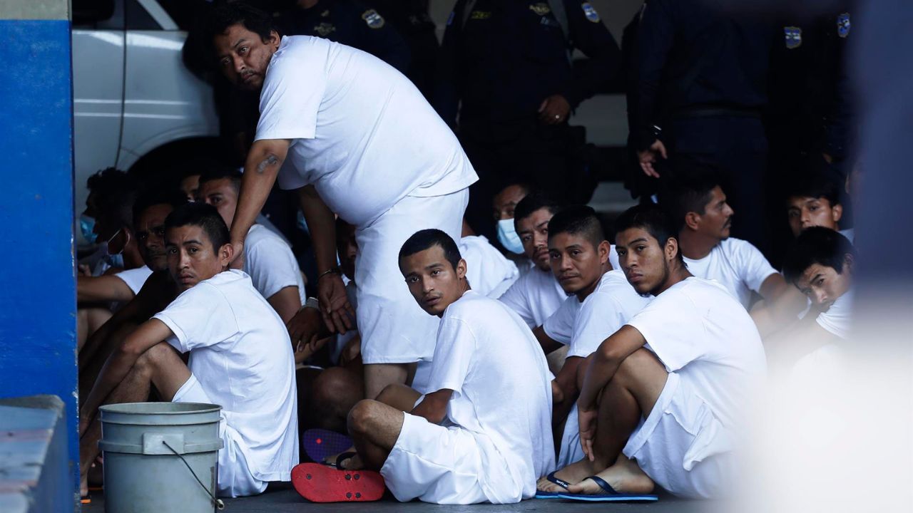 ONG recibe casi 2 mil denuncias por atropellos a derechos humanos en El