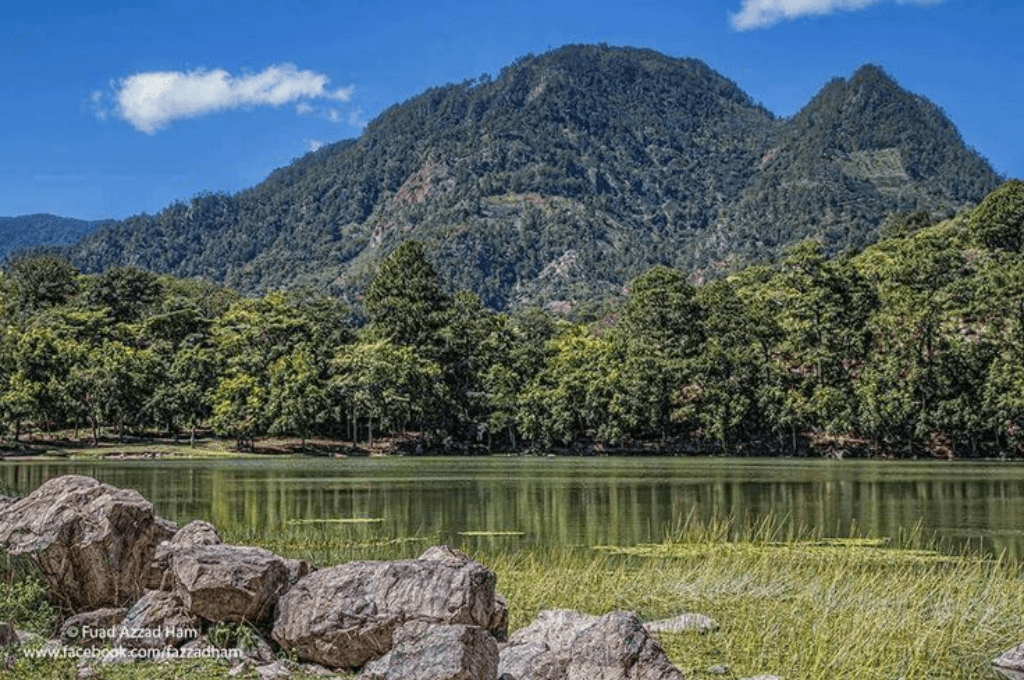 Montecillos es una reserva que es fuente de agua para 60 comunidades. Foto: Honduras Tips