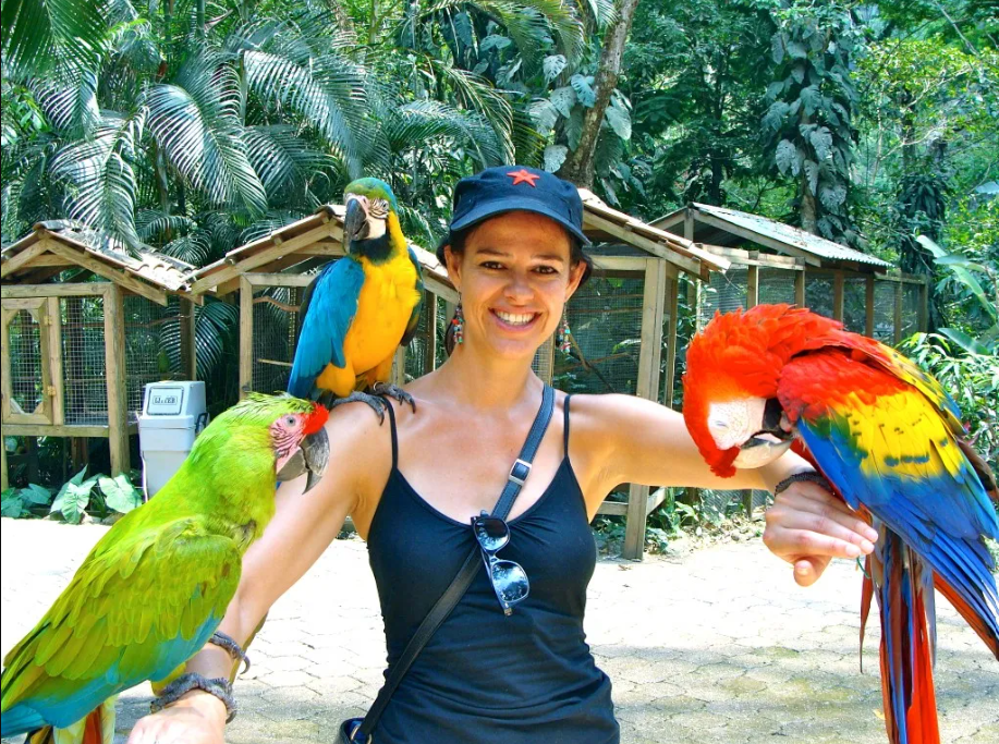 La Reserva Natural y Parque de Aves, Macaw Mountain, se encarga de cuidar las guacamayas y permite a turistas visitarlas. Foto: Diario Tiempo