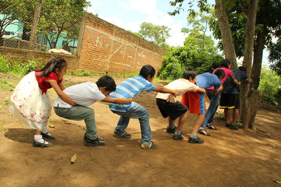 El más fuerte del equipo debe ser el que sostenga el árbol para que no se venga abajo la fila completa. Foto: Honduras.com