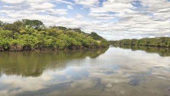 La cuenca de este río tiene un área de 21,964 km2. Foto: Ríos del Planeta