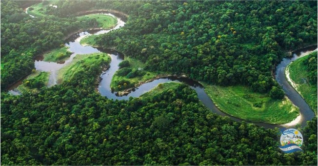 Nace cerca de San Marcos de Colón y desemboca en el Cabo de Gracias a Dios. Foto: Espacio Honduras