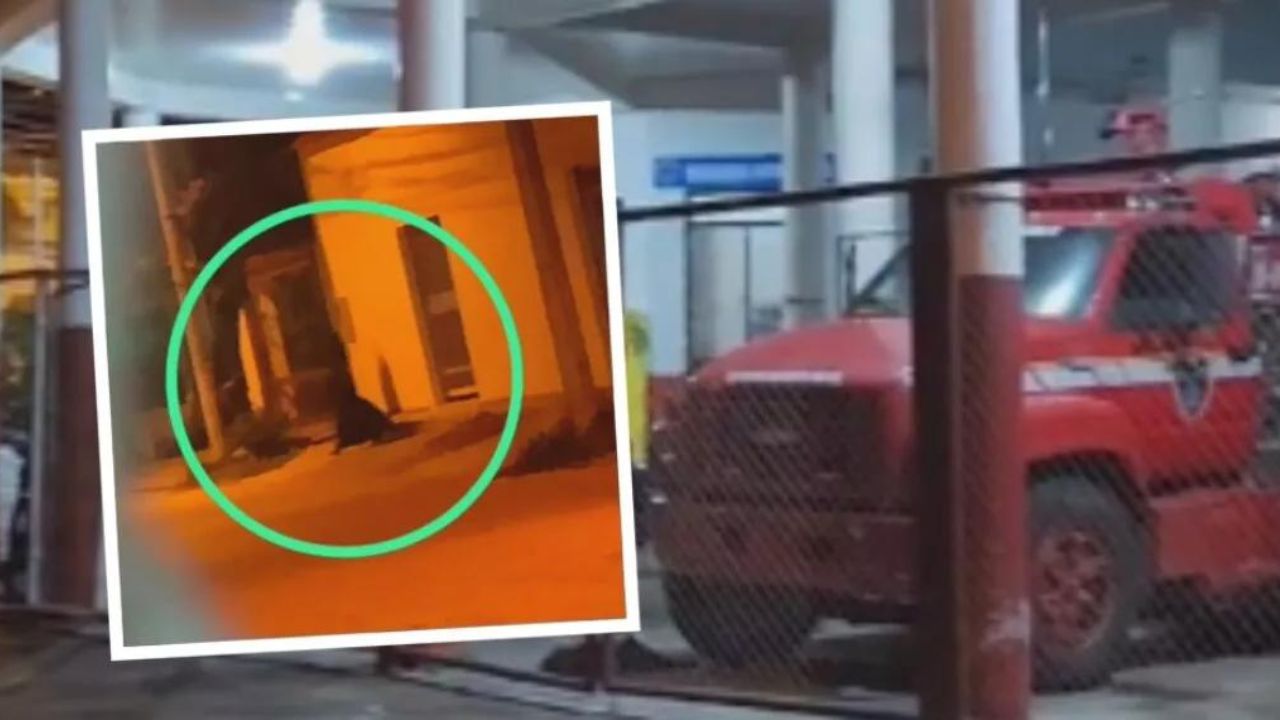 Bombero se 'enfrió' por un 'fantasma' que pasó frente a su estación