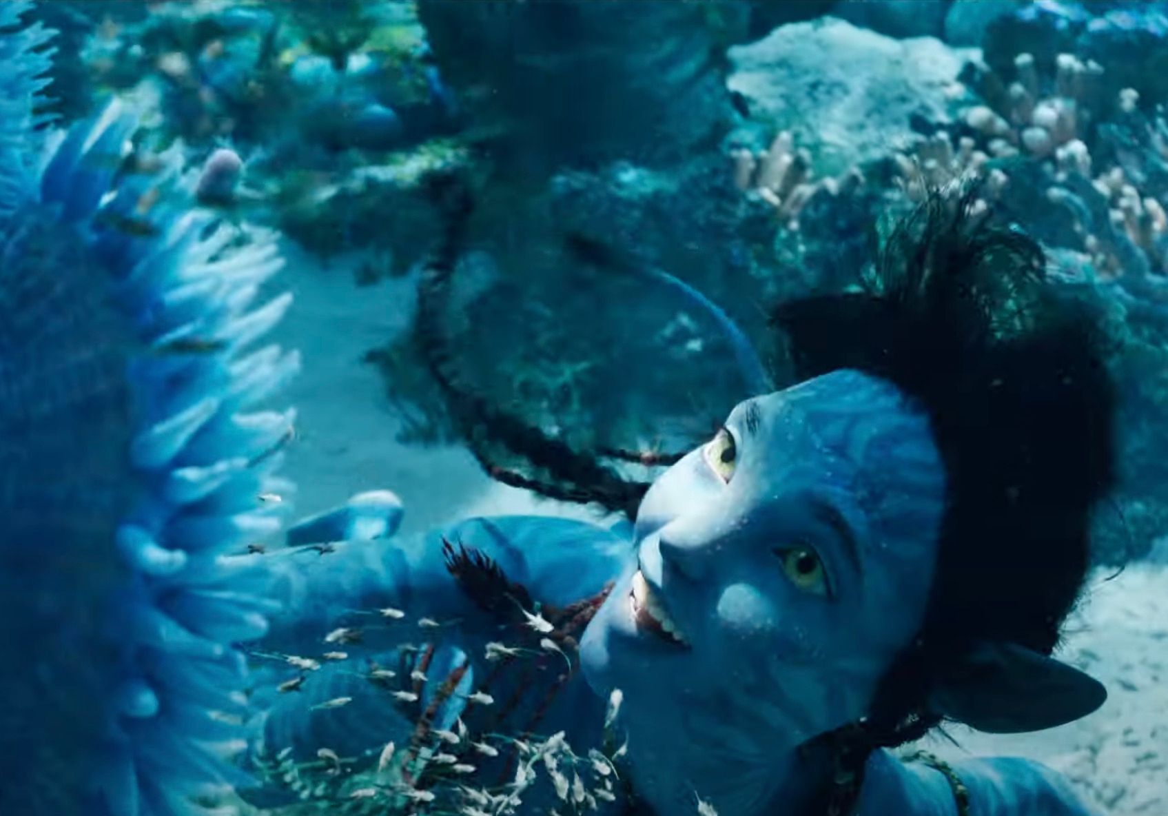 Avatar: El Camino del Agua fue dirigida por James Cameron. Foto: Home Cinema