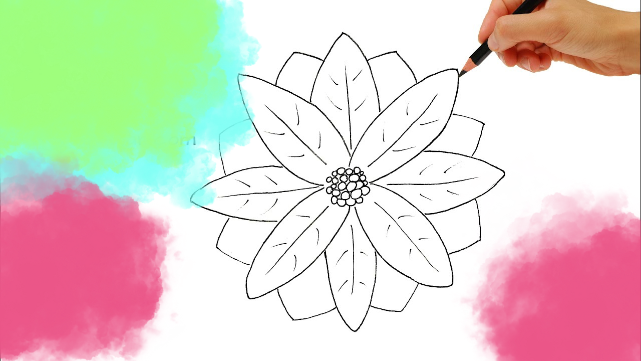 Imágenes de flores de Pascua para dibujar, ¿cómo diseñarlas y cuál es ...