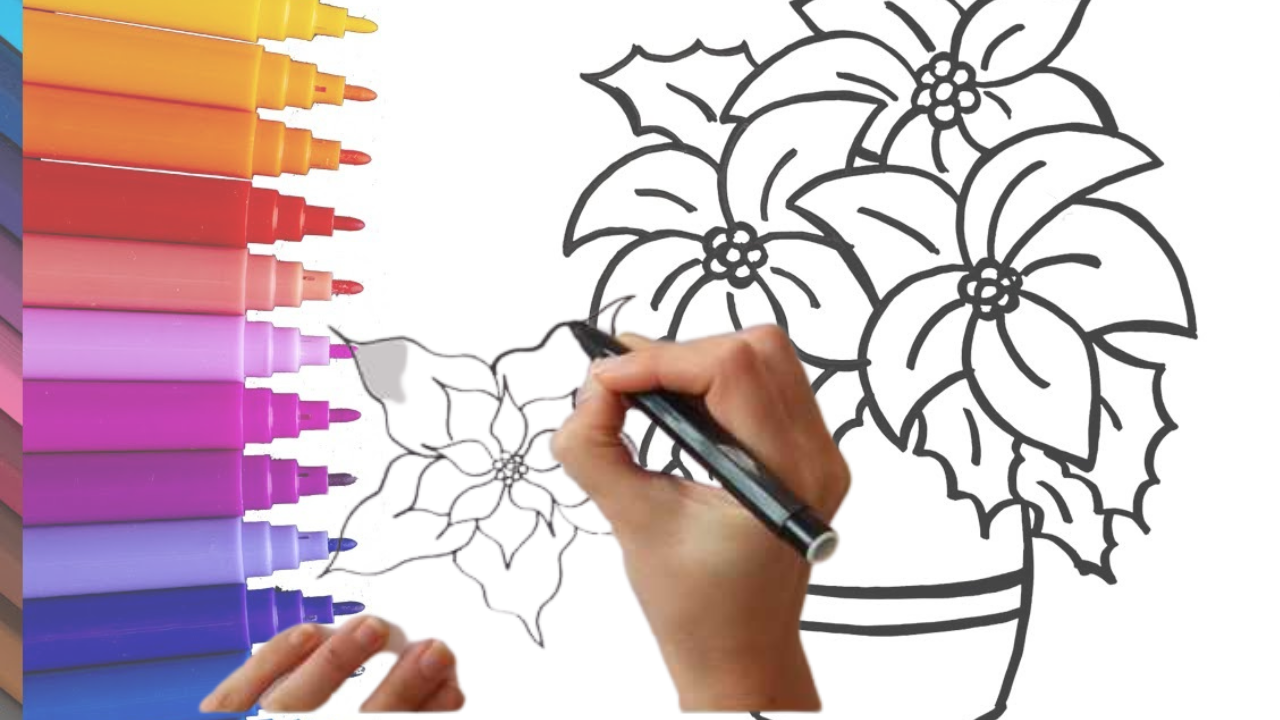 Imágenes de flores de Pascua para dibujar, ¿cómo diseñarlas y cuál es ...