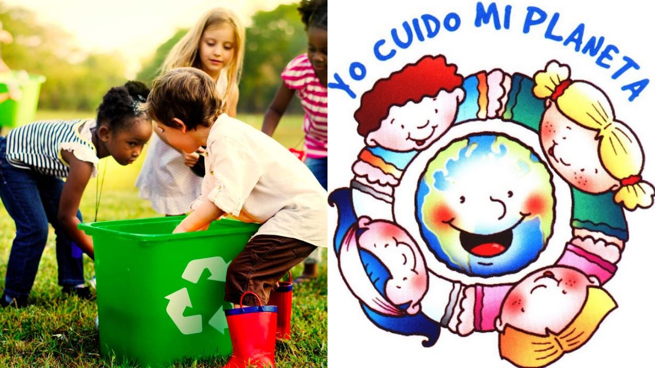 Frases sobre el medio ambiente para niños, concientiza a los más
