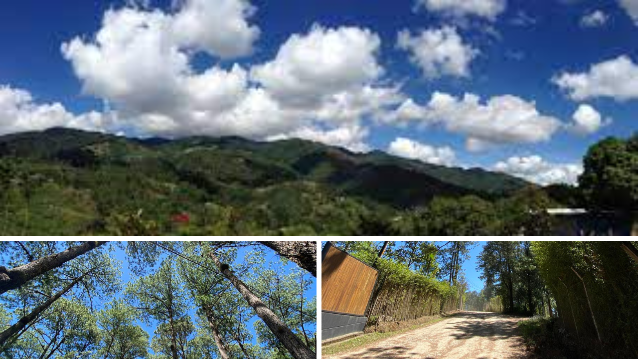 Descubre cuáles  son las mejores rutas para hace senderismos en El Piligüín que ofrecen una amplia y hermosa vista de paisajes. 