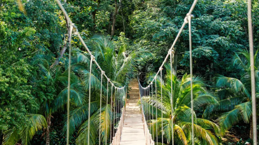 Imágenes de Honduras, explora el país