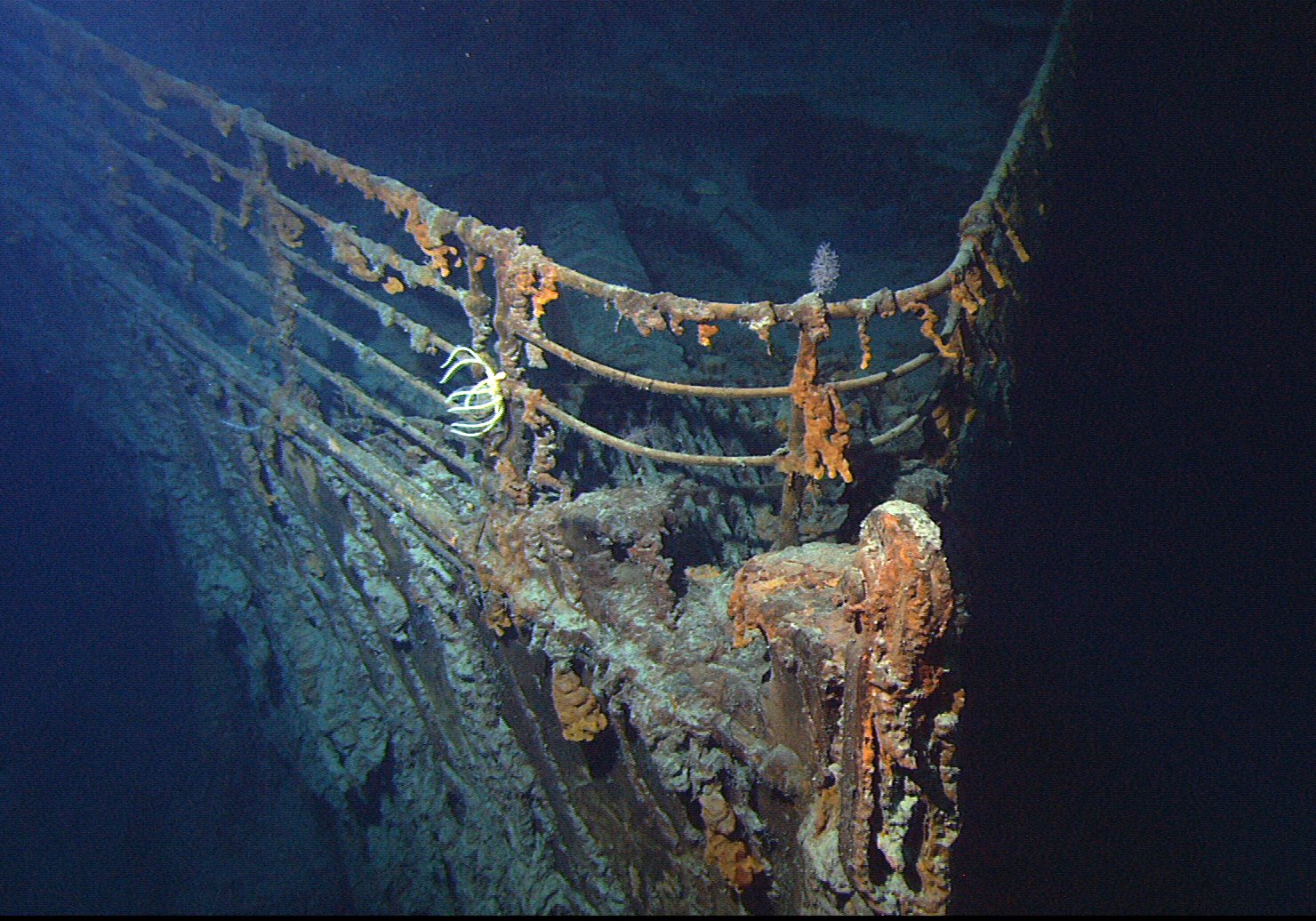 Restos del Titanic. Foto: National Geographic