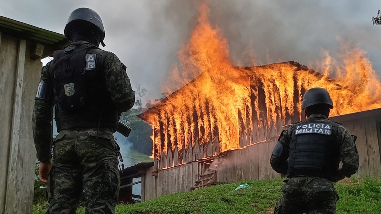 Imagen de Galería