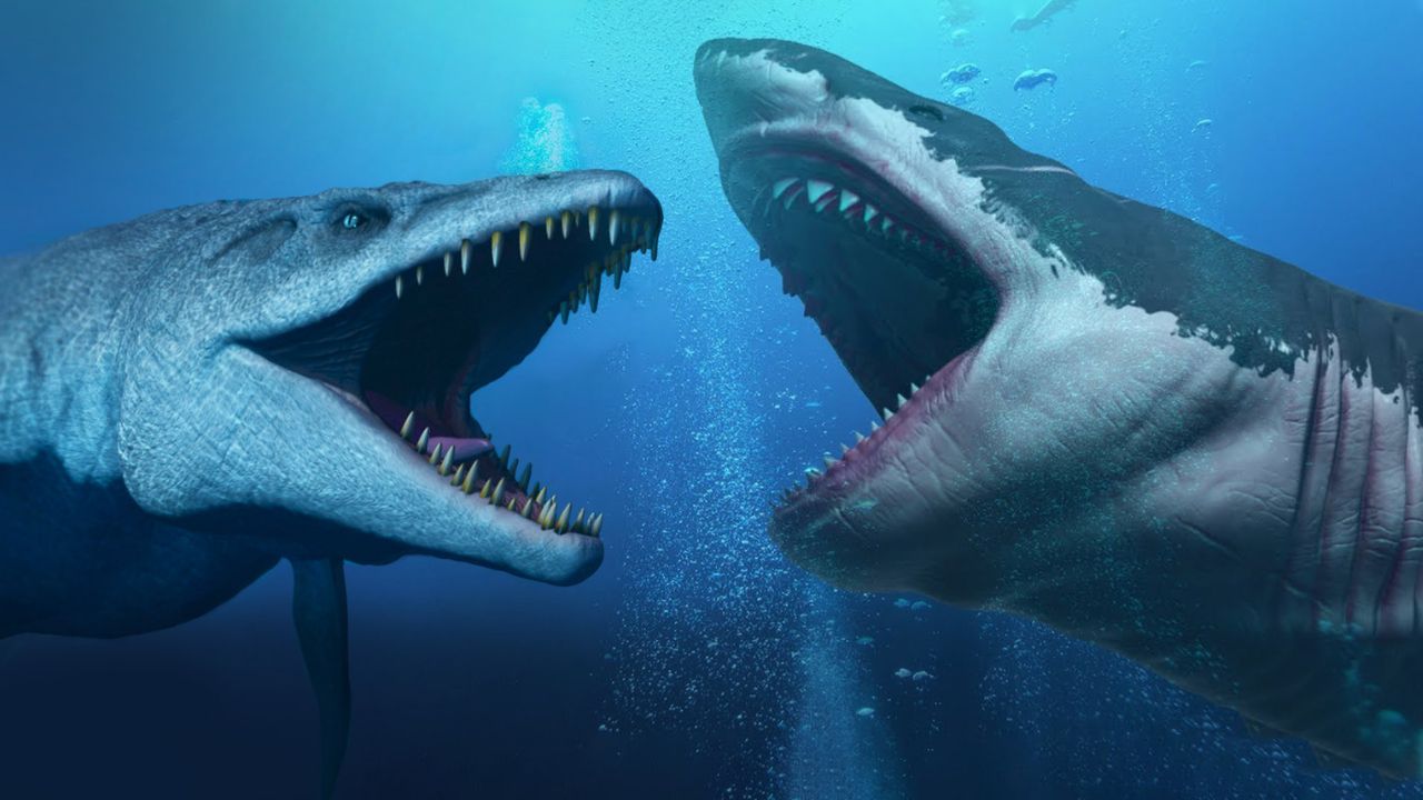 Mosasaurus vs Megalodón, ¿Quién ganaría en una batalla?