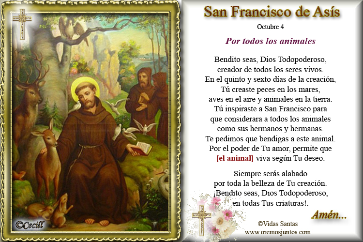 Oracion A San Francisco De Asis Por Los Animales
