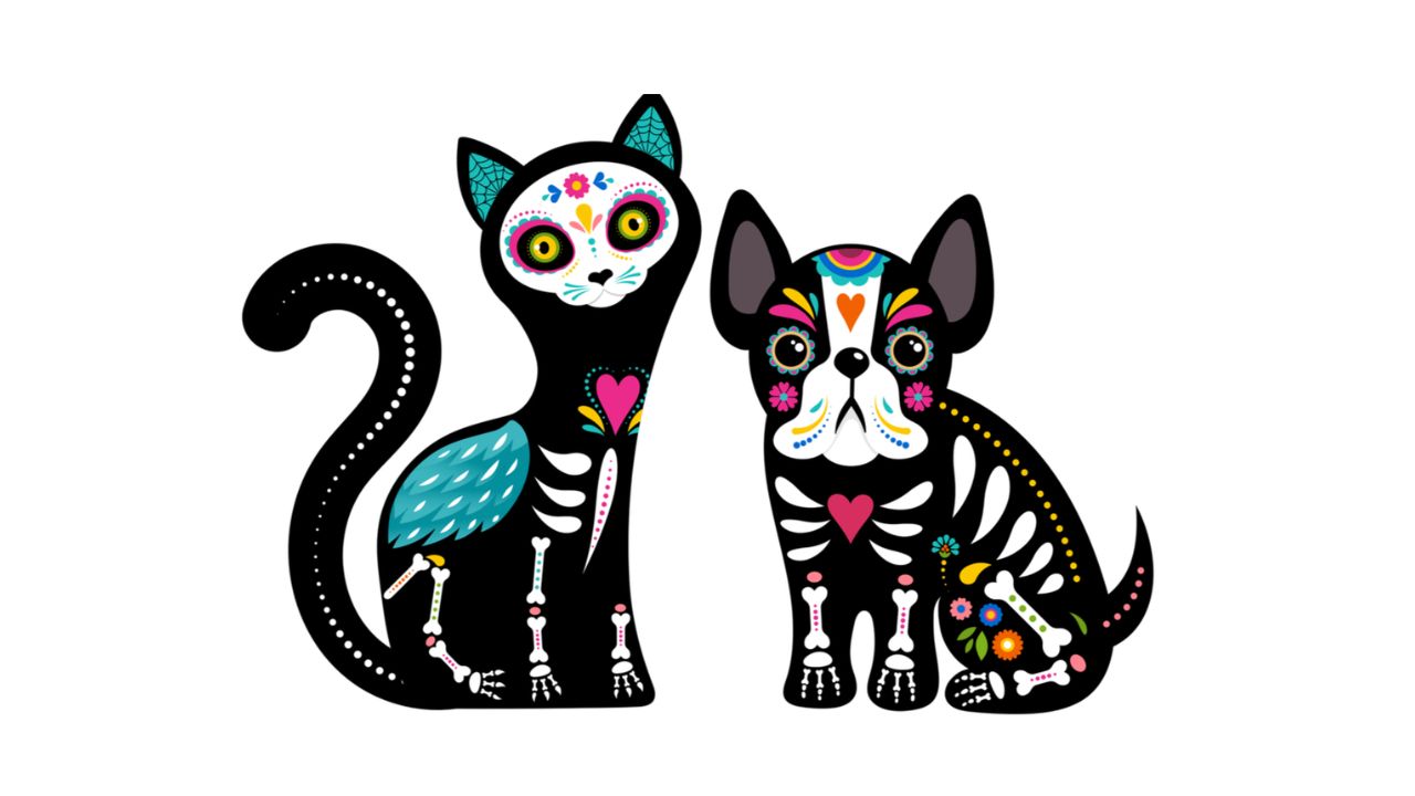 D a de Muertos Mascotas fecha - Principal Dia De Muertos Mascotas Fecha Y Origen De La Tradicion Mexicana
