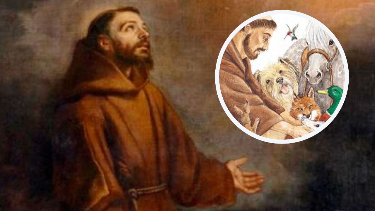 Oración a San Francisco de Asís por las mascotas: rezo para el Santo