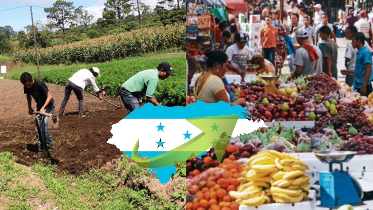 La actividad económica de Honduras subió un 3,6 al tercer trimestre