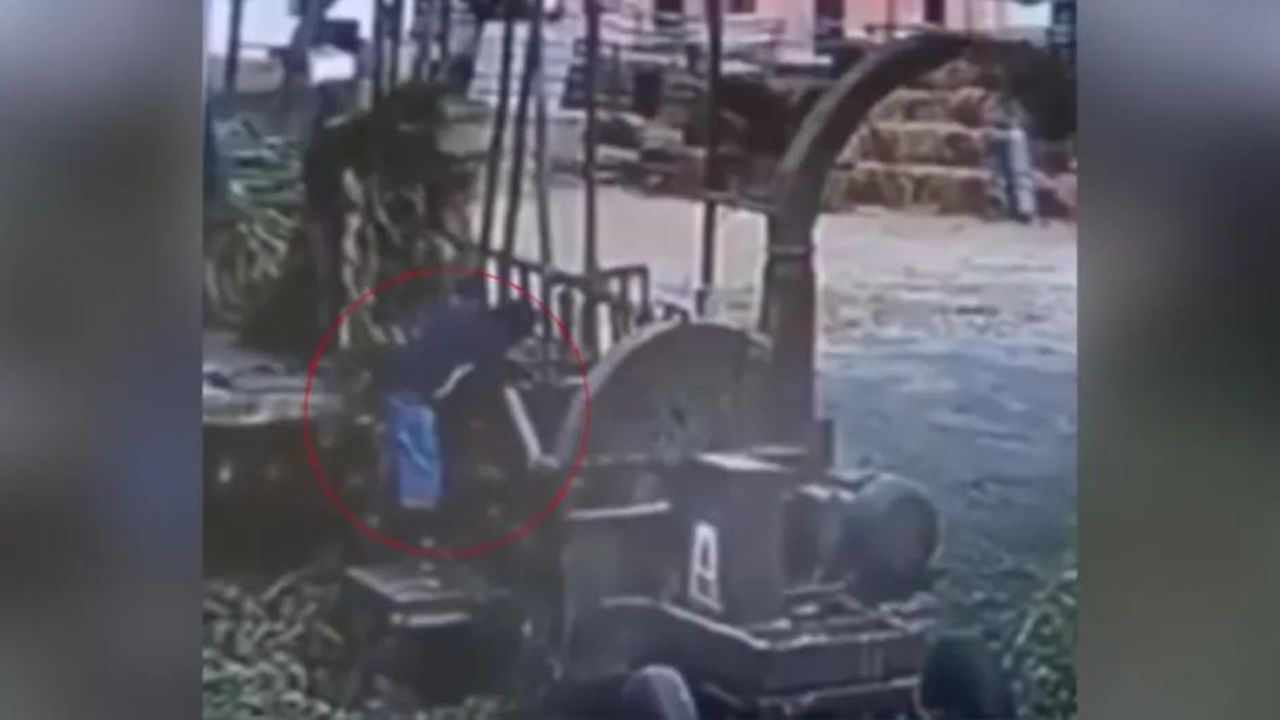 VIDEO Hombre Es Tragado Por Una Trituradora De Hierbas