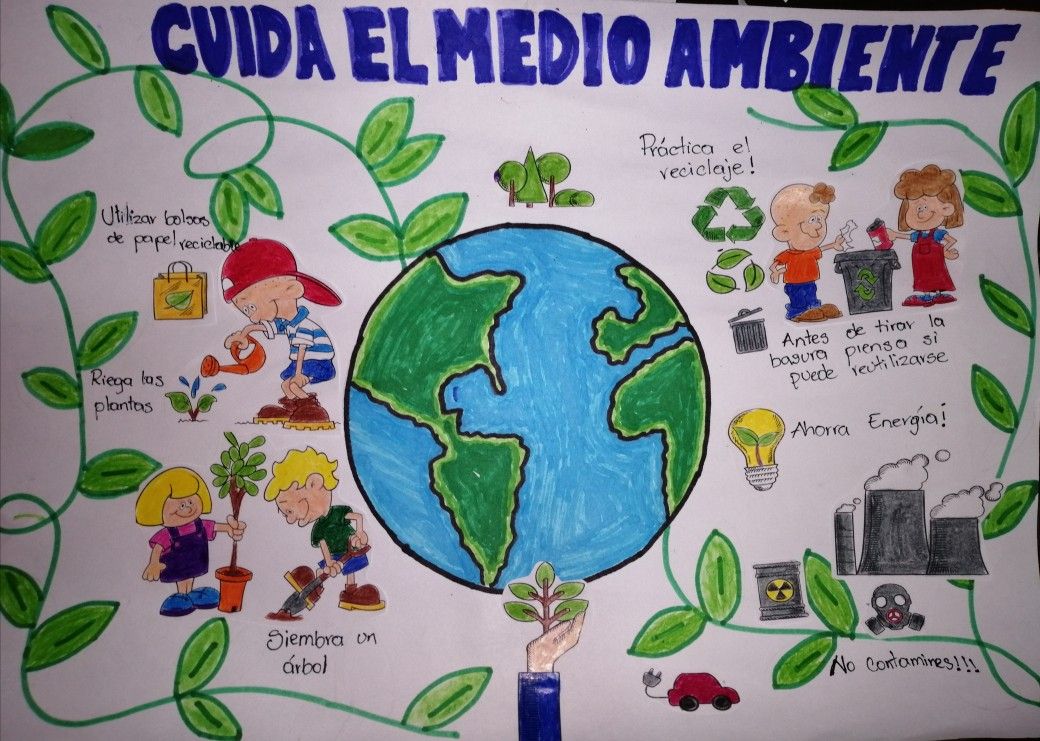Carteles del Medio Ambiente con frases, las mejores ideas fáciles de