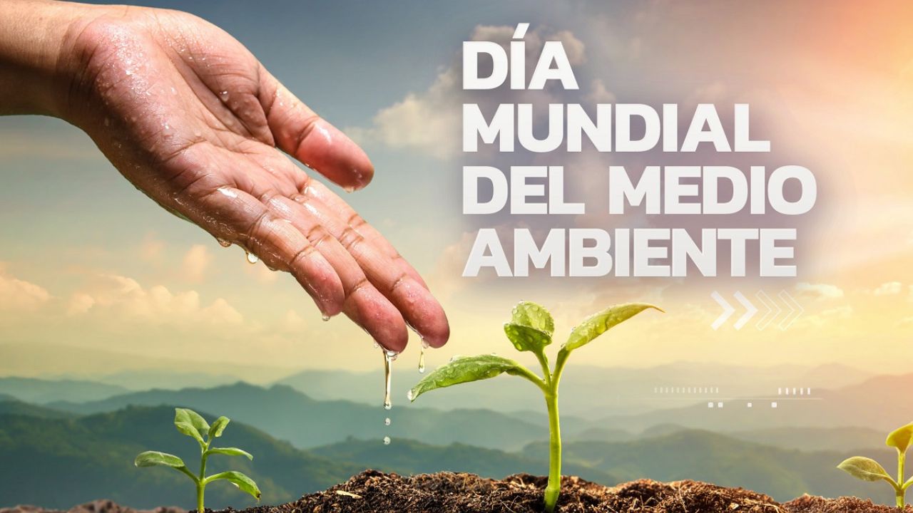 5 de junio Día del Medio Ambiente frases: mensajes para inspirar el ...