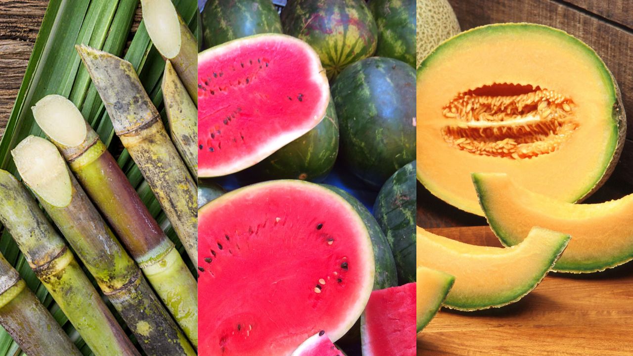 ¿Qué cultivos se producen en nuestros departamentos de Honduras?