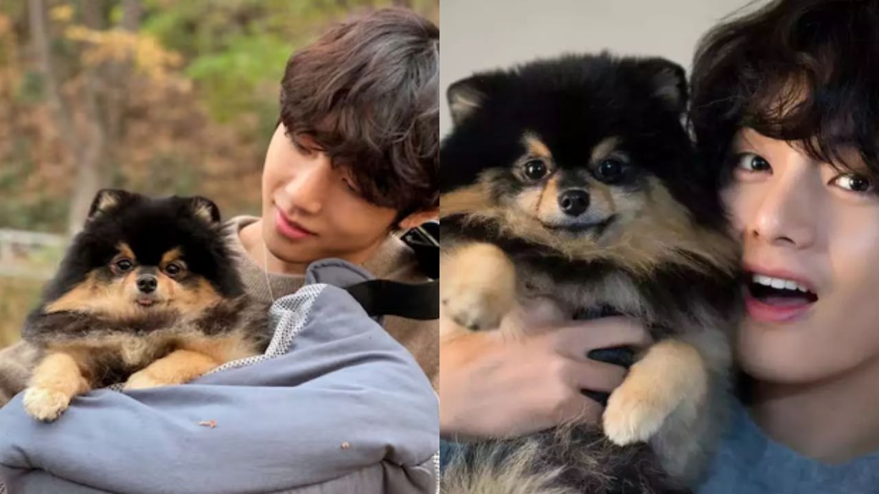 Fotos De V De Bts Tiernas