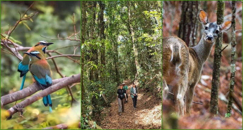 Parque Nacional La Tigra: precio, atracciones turísticas y actividades
