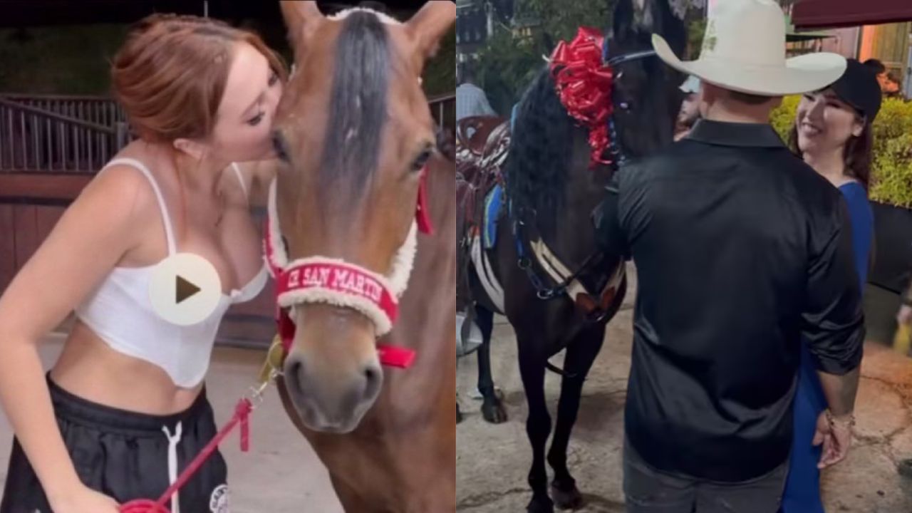 Aida Victoria Merlano video caballo Telegram: ¿clip filtrado con el