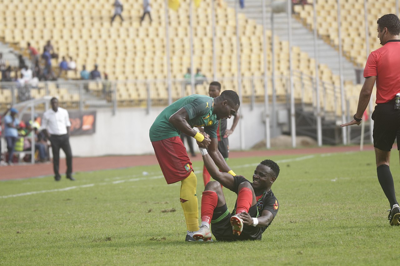 Crédits Photo :&nbsp;MBIELE HAPPI RAPHAEL - Wikimédia Commons CC BY SA 4.0