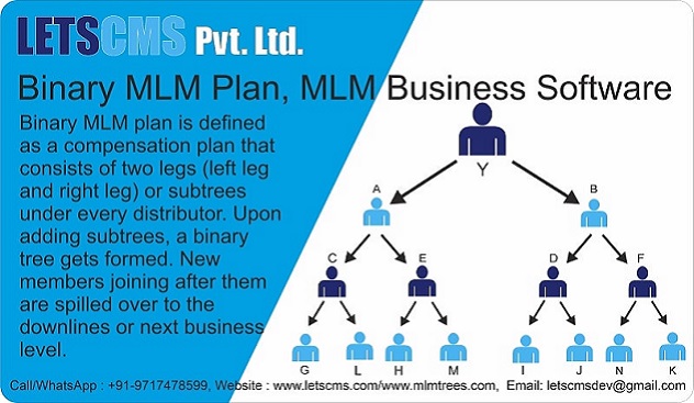 binary mlm plan