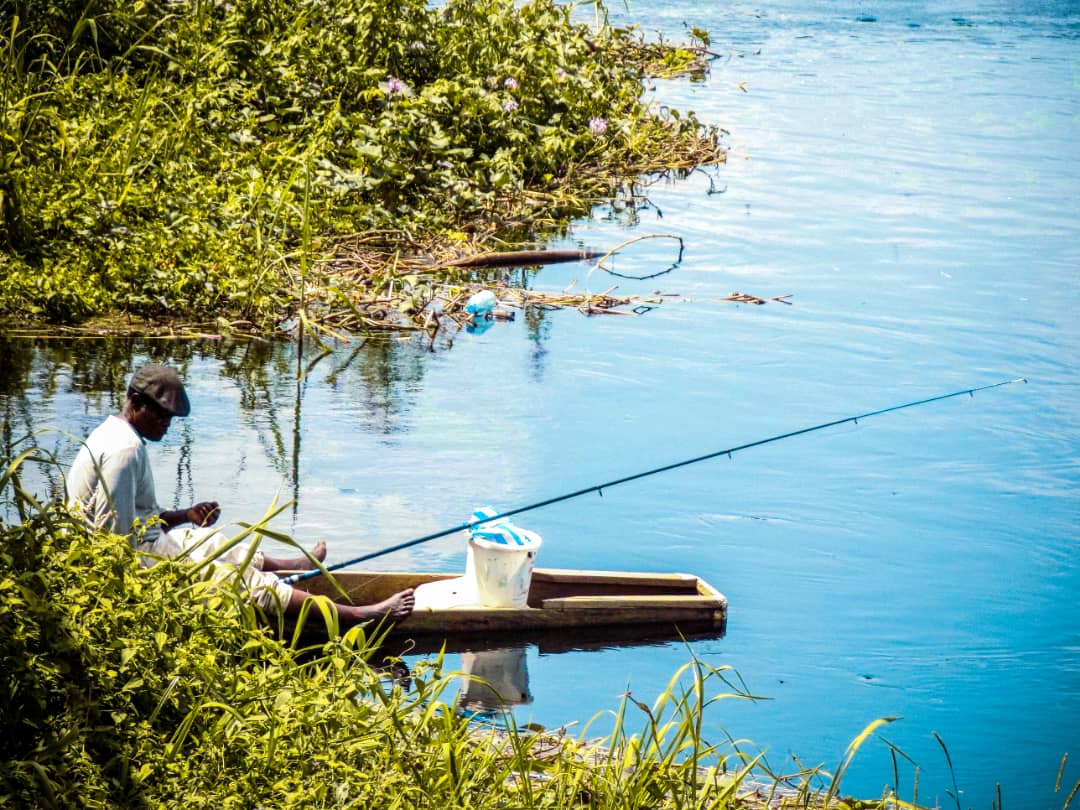 Mbalmayo, la ville du poisson d’eau douce Kanga. Crédit : Franck Mensah Gampson