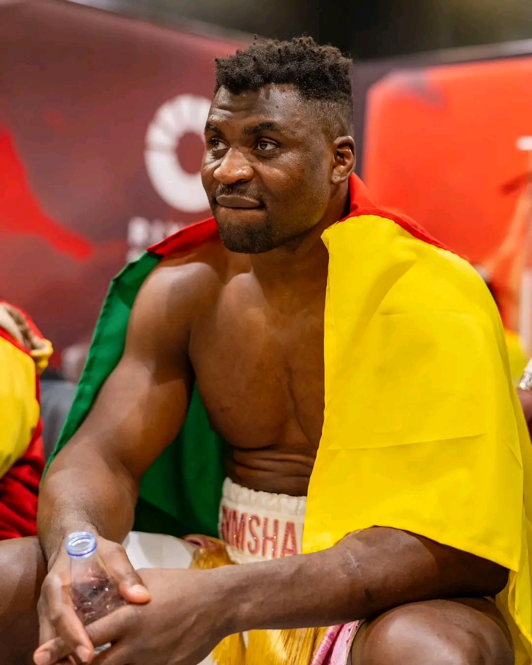 Ngannou Francis&nbsp;
