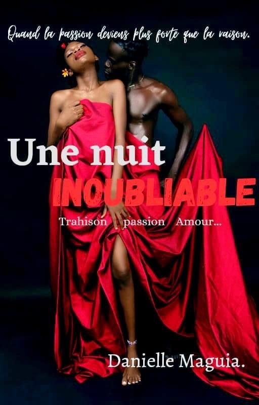 Une nuit inoubliable. - Chapitre 1.