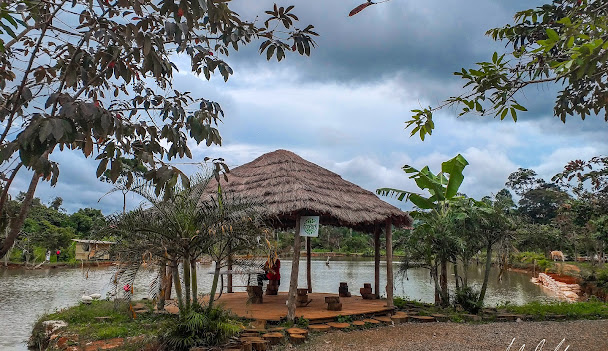Écopark Yaoundé. Crédit :&nbsp;Écopark Yaoundé&nbsp;
