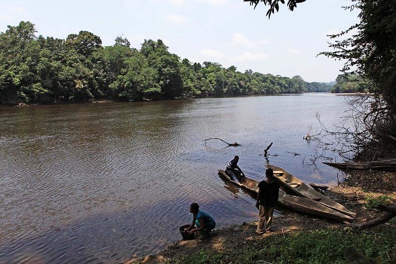 &nbsp; Le Dja&nbsp;est une rivière ou cours d’eau situé au sud du&nbsp;Cameroun, affluent de la Sangha (elle-même affluent du&nbsp;fleuve Congo). Il prend sa source au sud d’Abong-Mbang et coule au nord de la&nbsp;République du Congo&nbsp;près de Ouesso. Il est long de 720&nbsp;km et la superficie de son bassin plat est à environ 80&nbsp;000 km2. 

Crédit :&nbsp;Visiter le Cameroun avec moi&nbsp;