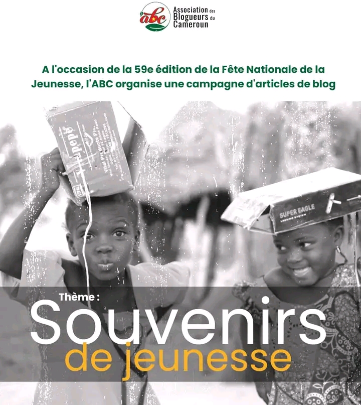 J'AI FAILLI NE PAS COMPOSER LE BEPC A CAUSE D'UNE PHRASE.  - 