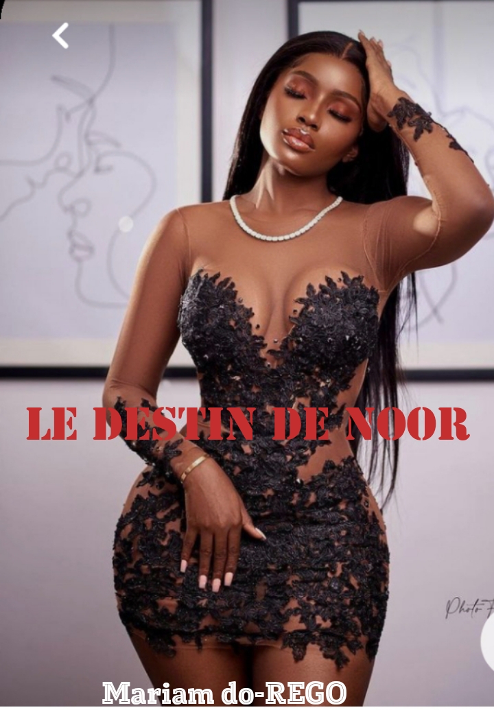 Le destin de Noor 