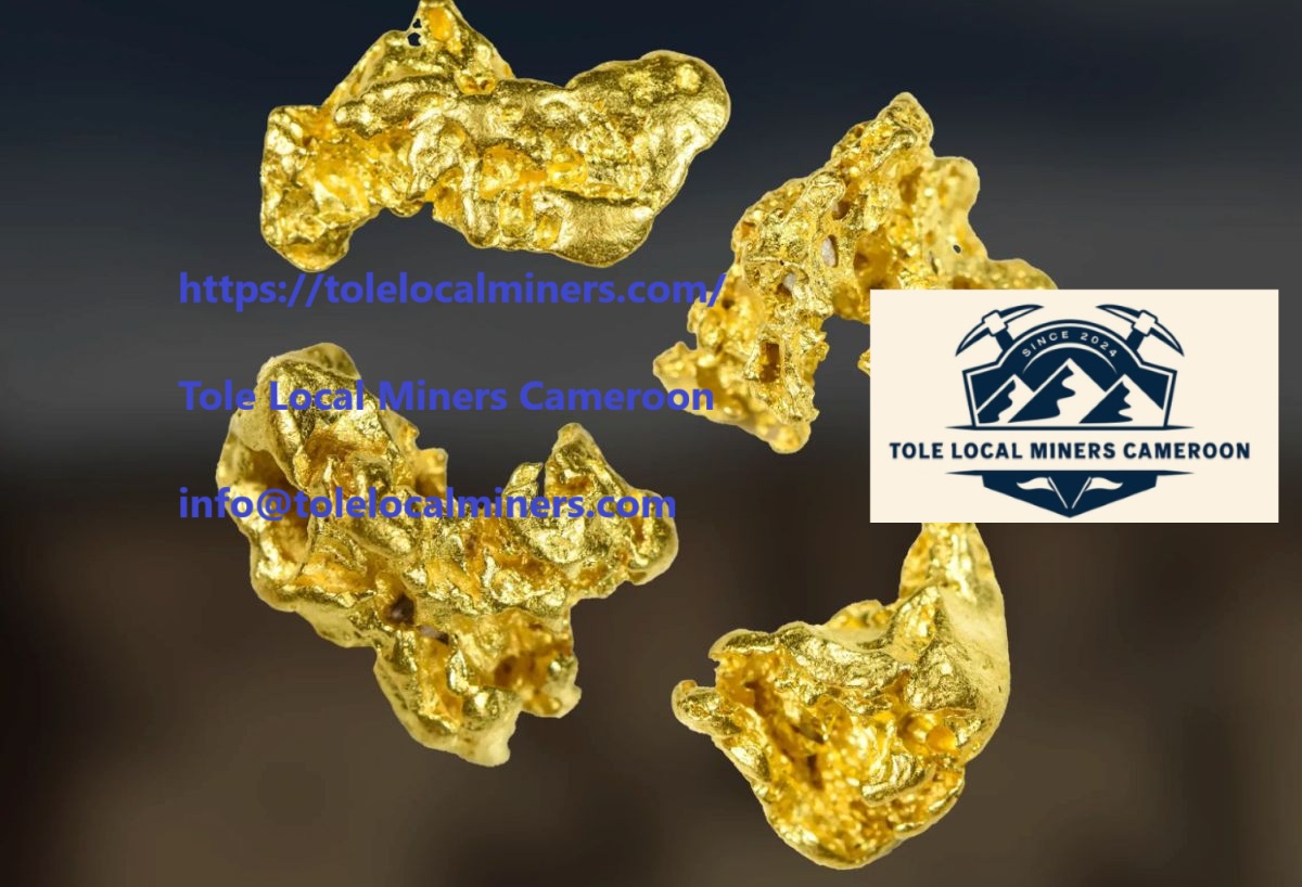 buy 100 grams gold – Gold – TOLE LOCAL MINERS Cameroon