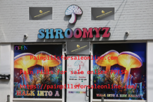 Buy Psychedelics Mushrooms online - Painpillsforsaleonline.com